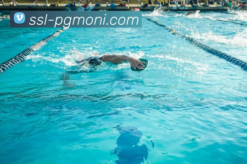 pg电子模拟器服务体系